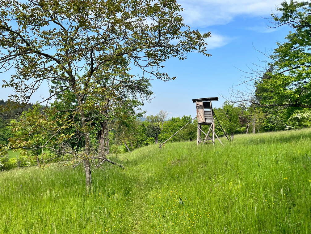 22-05-08 11-19-47 0768